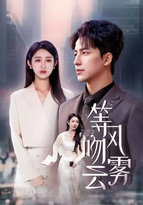 午夜面包房 电视剧全集免费观看